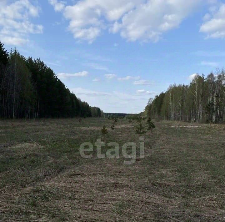 земля г Полевской с Курганово ул 1-ая Малахитовая фото 8