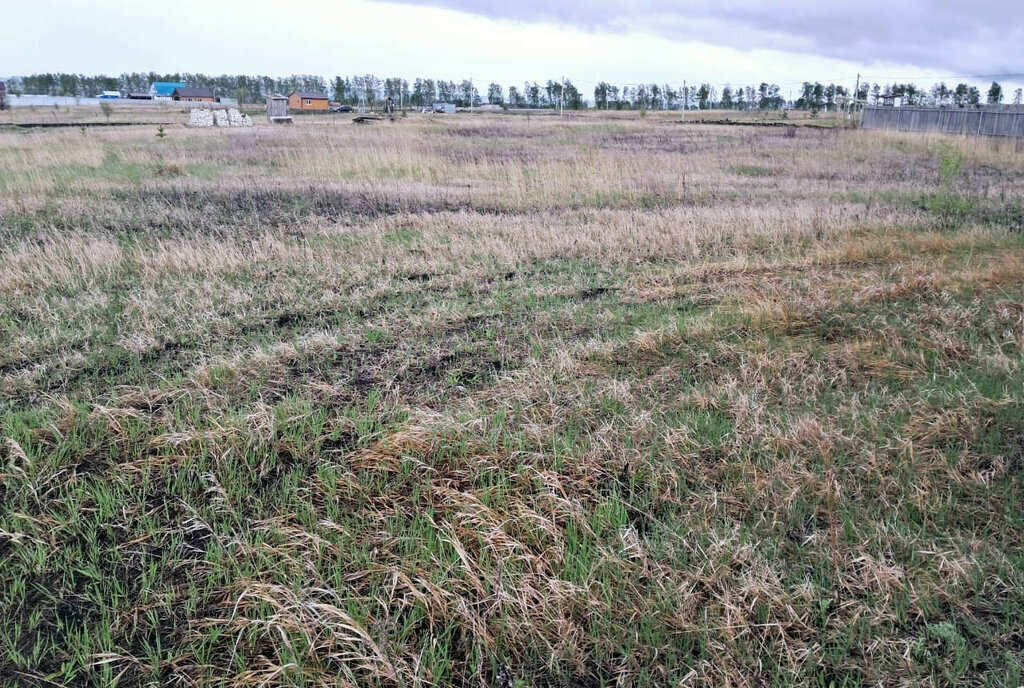 земля г Ульяновск с Луговое р-н Железнодорожный фото 2