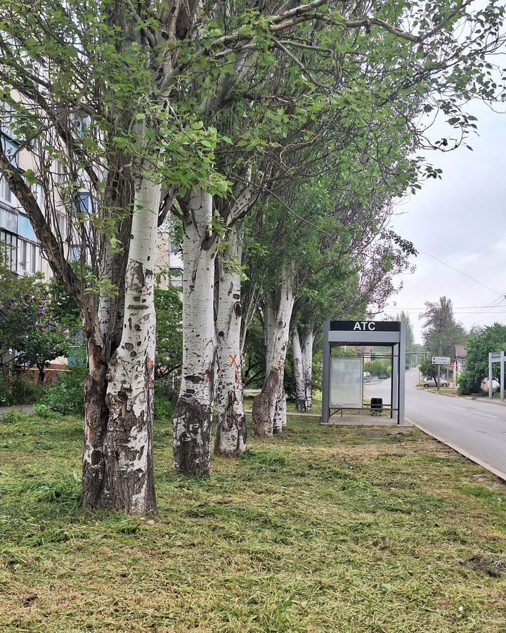 квартира г Керчь ул Фурманова 17/27 фото 16