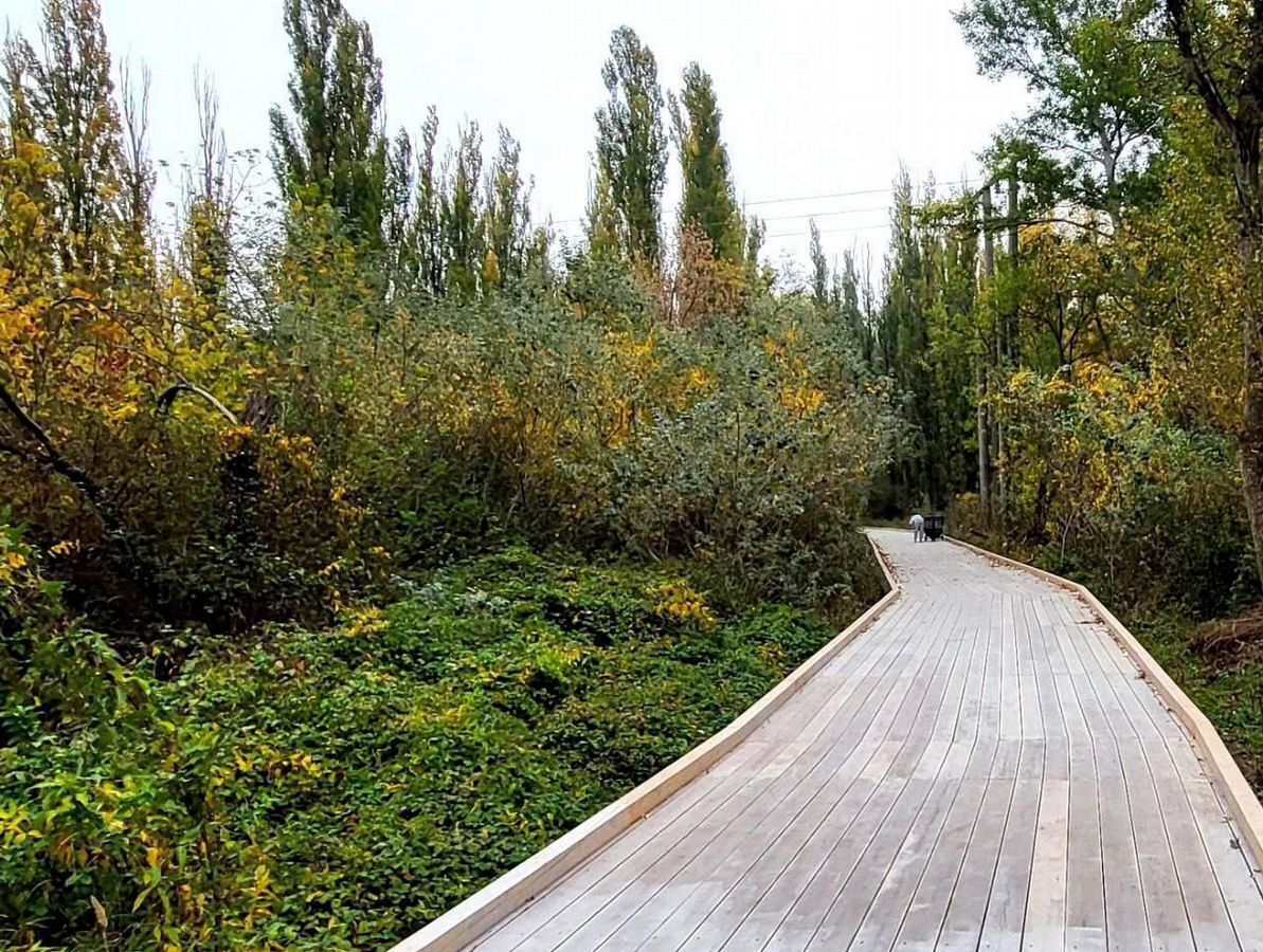 квартира г Махачкала р-н Кировский Благородная ул., 13 фото 17
