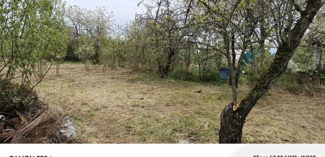 снт Дубрава ВЗВА Лычёвская волость, Великие Луки фото