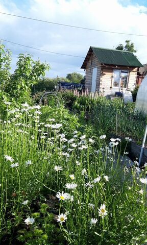 снт Весна Зональненское сельское поселение, 449, Томск фото