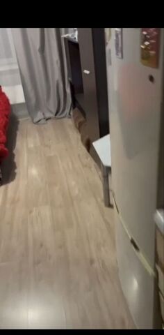 комната р-н Заводской ул Климасенко 1/2 фото