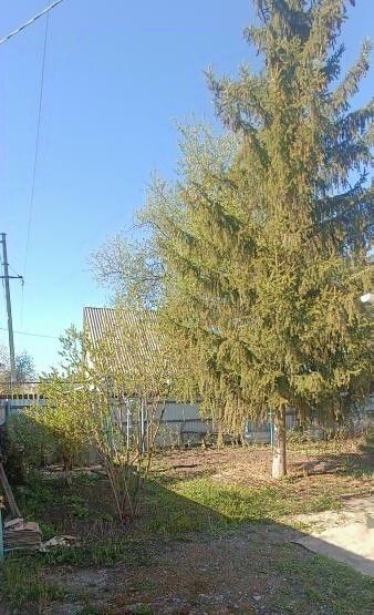 дом г Омск снт Здоровье Дружинское с/пос, 299, Омский район фото 14