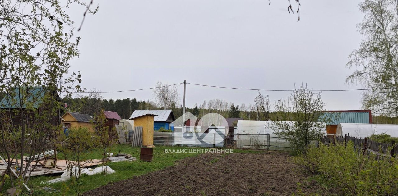 земля г Новосибирск р-н Калининский Заельцовская снт Любитель проезд 4-й фото 1