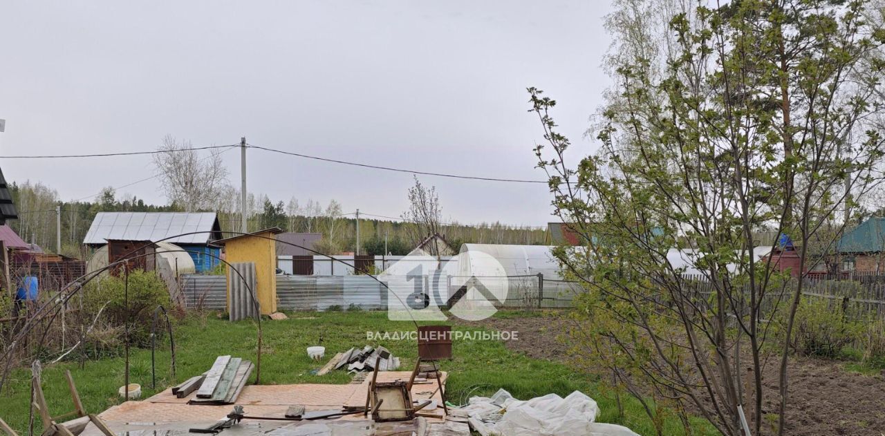 земля г Новосибирск Заельцовская снт Любитель проезд 4-й фото 3