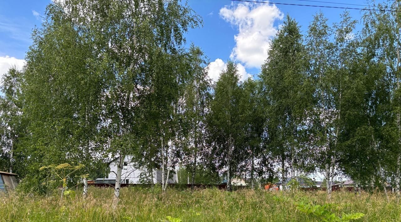 земля г Солнечногорск Семейный Некст кв-л, 46 фото 19
