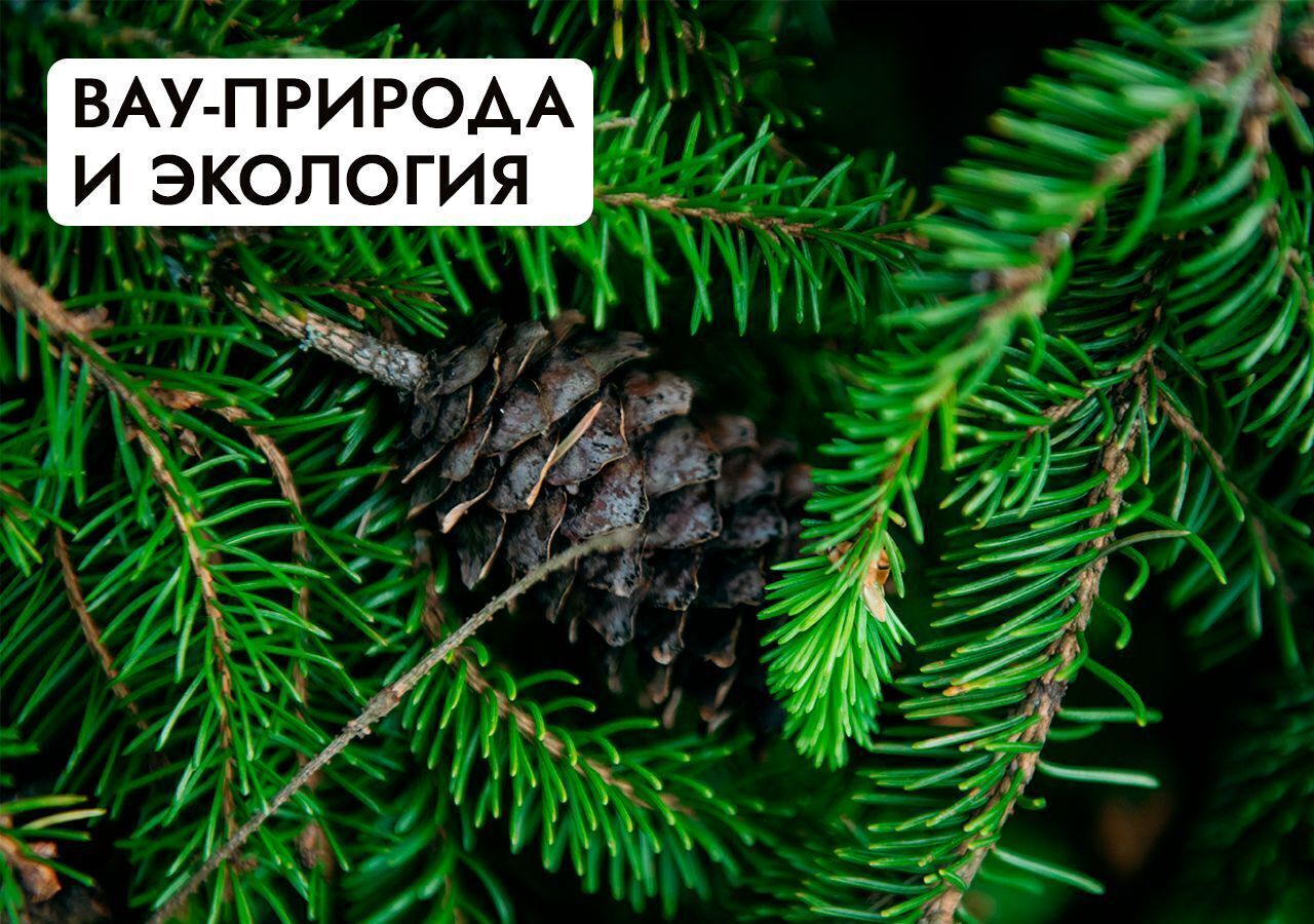 земля г Истра Павловская Слобода, 25 км, коттеджный пос. Гринфилд, Минское шоссе фото 33
