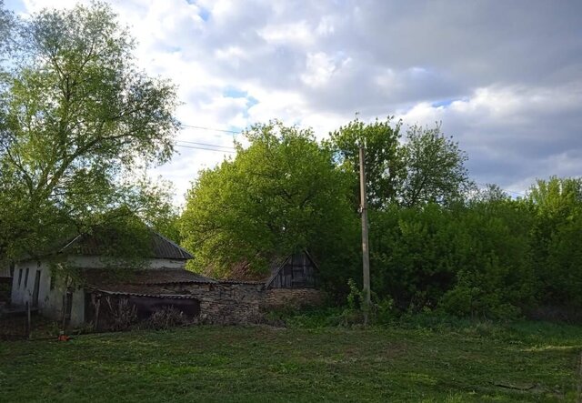 Грызловский сельсовет, Берёзовая ул., 48, Казаки фото