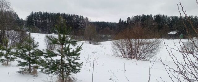 д. Большие Решники фото