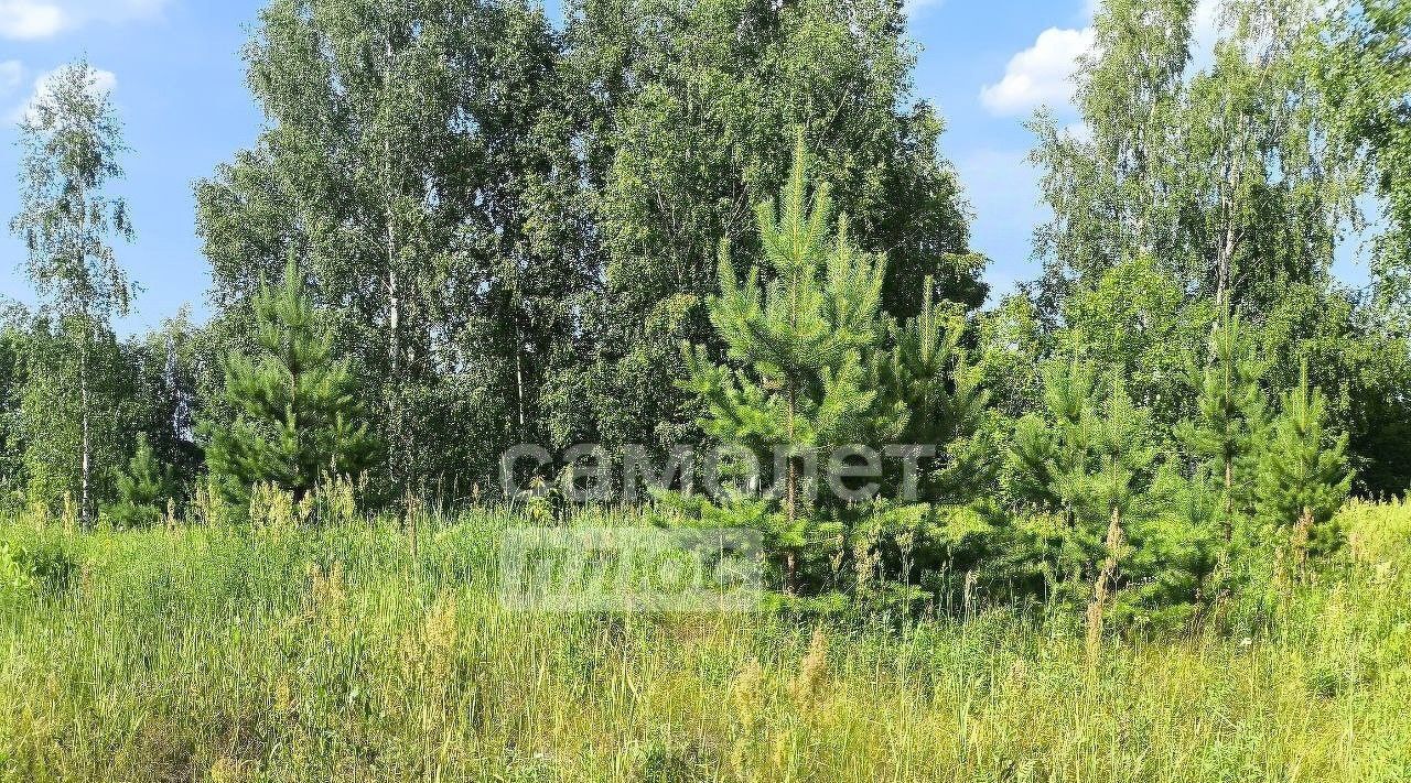 земля г Нижний Новгород д Новая фото 22