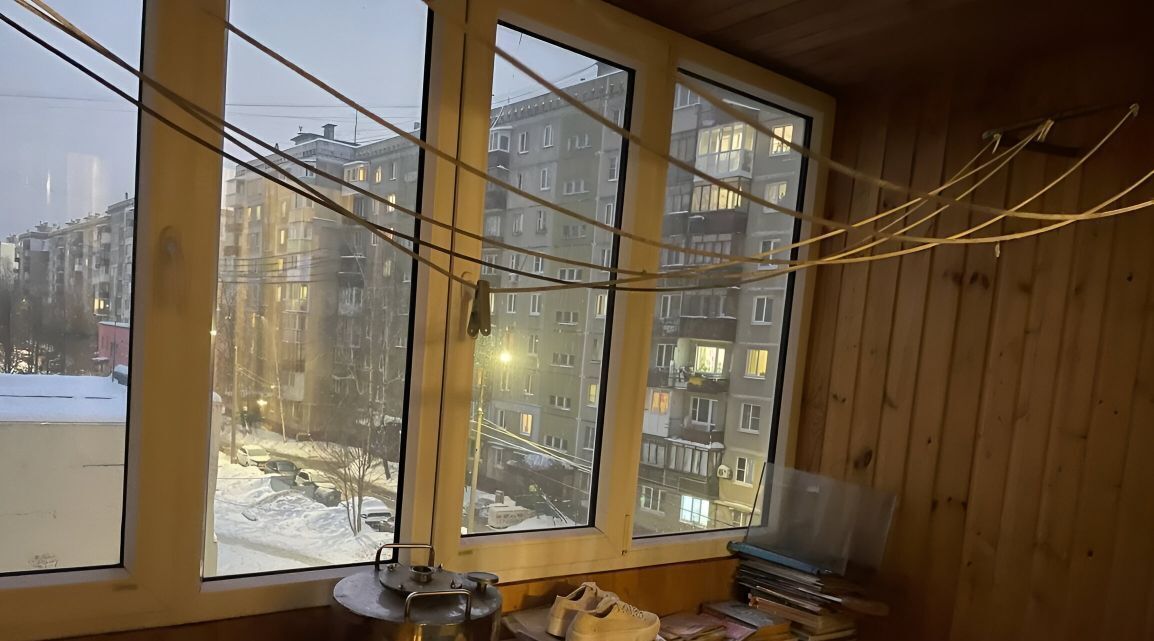 квартира г Нижний Новгород Парк культуры ул Челюскинцев 25 фото 22