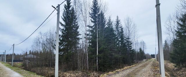 снт Эксперт Тосненское городское поселение, Рубеж массив, 5-я линия фото