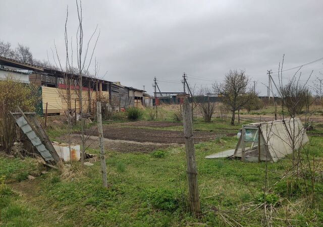 п Романовка Дорога жизни, 16 км, Романовское сельское поселение, садовые участки фото