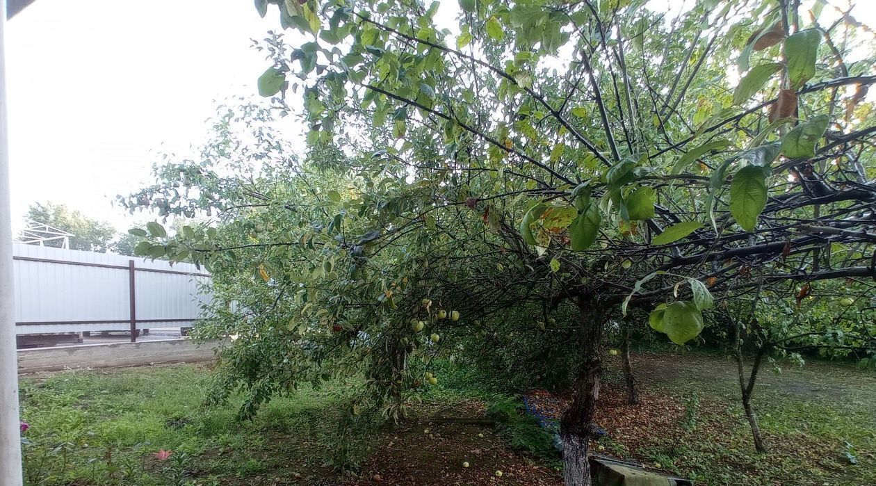 свободного назначения р-н Апшеронский г Апшеронск ул Беляева фото 32