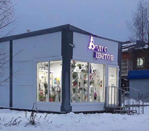 р-н Пудожский г Пудож ул Ленина 68б Пудожское городское поселение фото