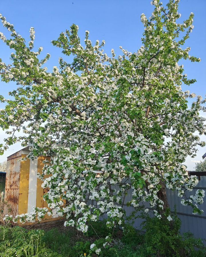 дом г Омск р-н Кировский территория СОСН Дорожник, 1-я аллея фото 6