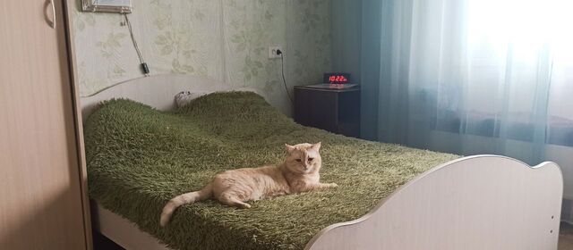 р-н Советский ул Микуцкого 6 фото