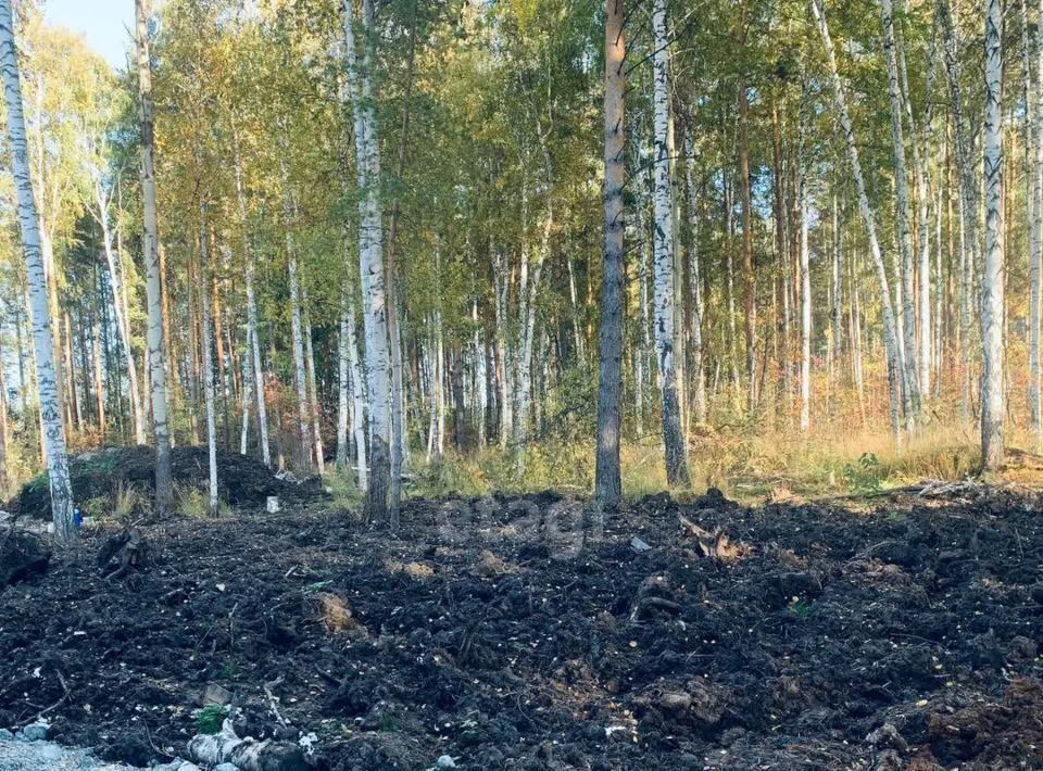 дом г Полевской с Курганово ул Еловая фото 25