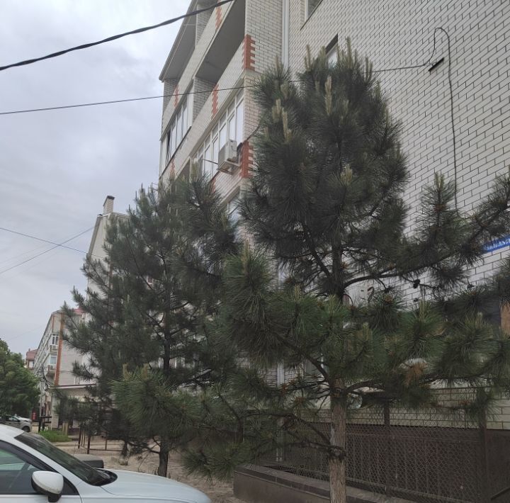 квартира г Краснодар п Российский ул Измаильская 4 р-н Прикубанский фото 8