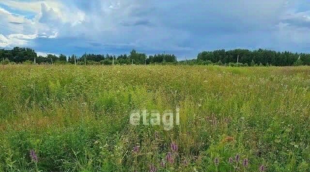 земля г Калуга д Груздово фото 4