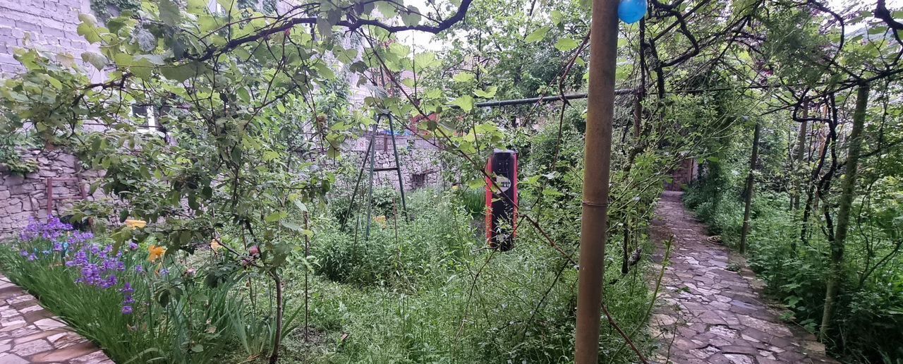 дом г Сочи р-н Хостинский с Пластунка ул Леселидзе 49/3 с Пластунка Хостинский район фото 24