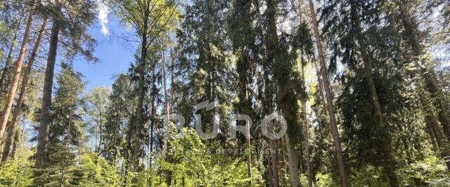 Успенские дачи-1 кп, Одинцово фото