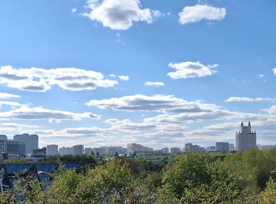 квартира г Москва метро Минская ул Улофа Пальме 1 фото 11