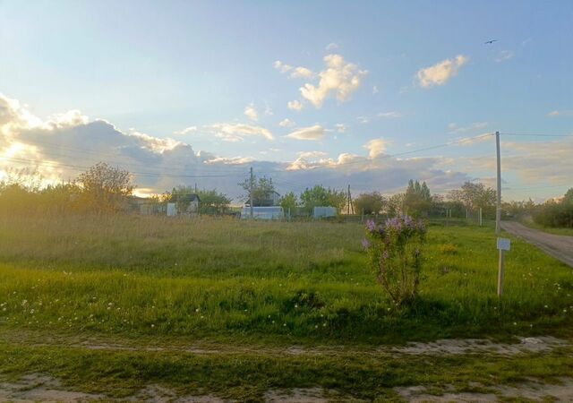 Пашковский сельсовет, дачное некоммерческое товарищество Ивушка, Курск фото