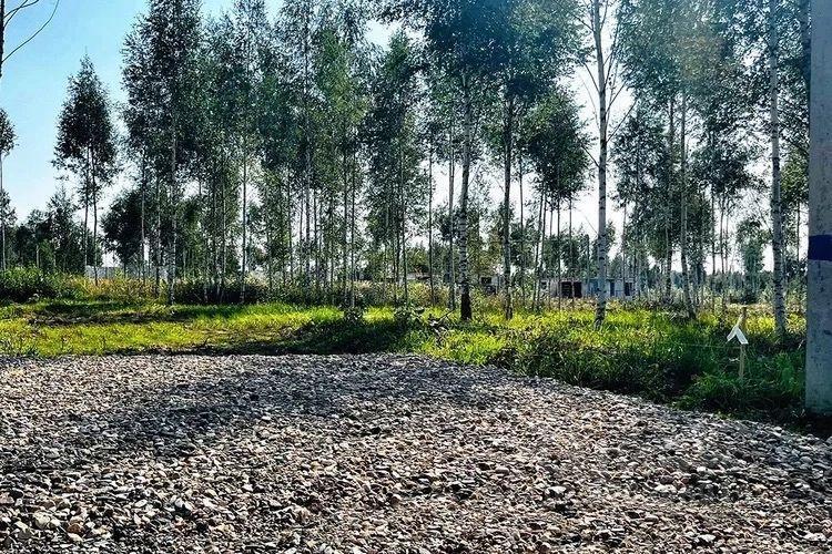 земля г Щёлково снт Родничок-1 122, Пушкинский городской округ фото 11