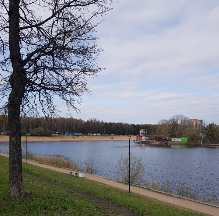 квартира г Санкт-Петербург метро Политехническая ул Жака Дюкло 8к/1 округ Светлановское фото 3