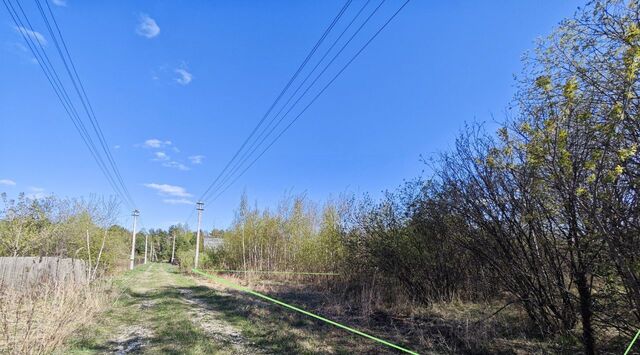 снт Ветеран 1 улица Дружбы фото