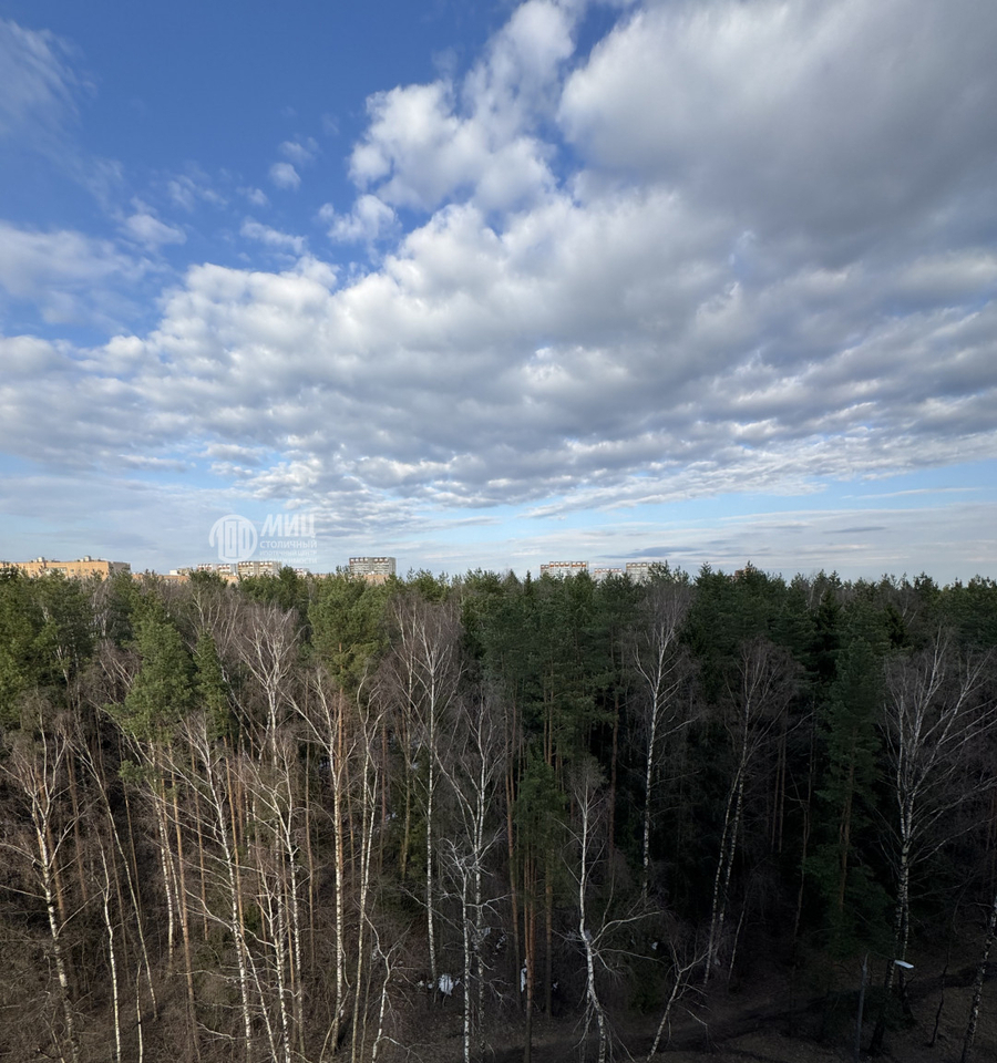 квартира г Зеленоград Зеленоград-Крюково, 11-й м-н, к 1134 фото 4