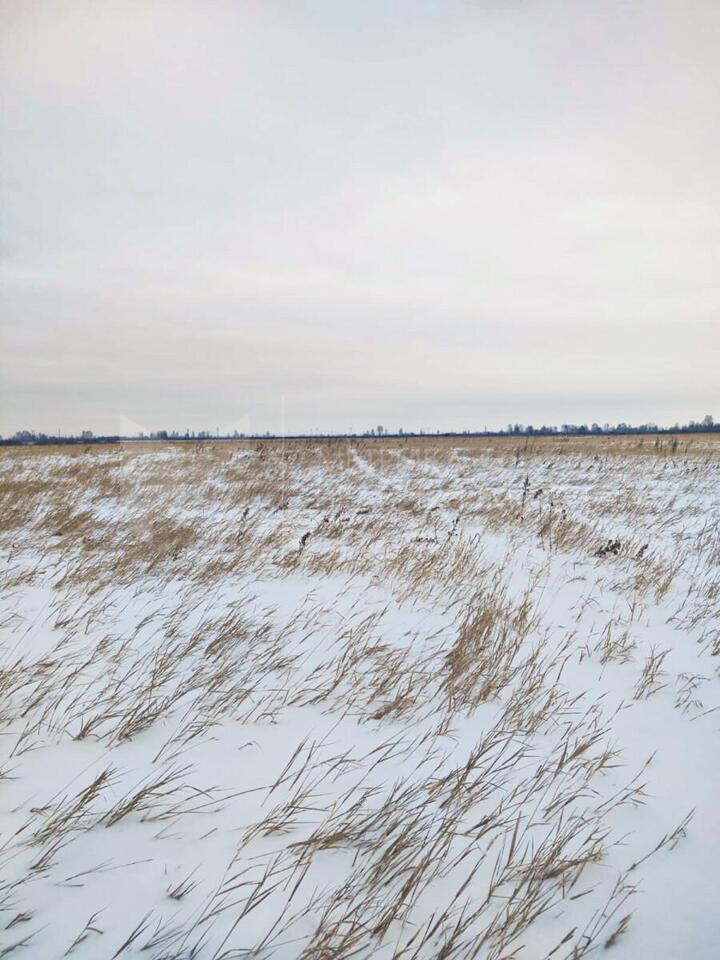 земля г Тюмень тракт Тобольский фото 1