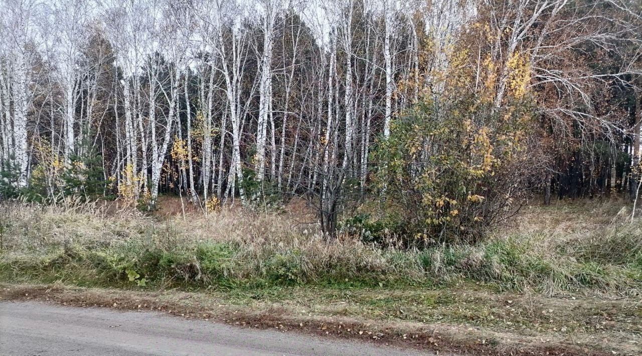 дом р-н Еманжелинский г Еманжелинск снт Весенний 31 фото 17