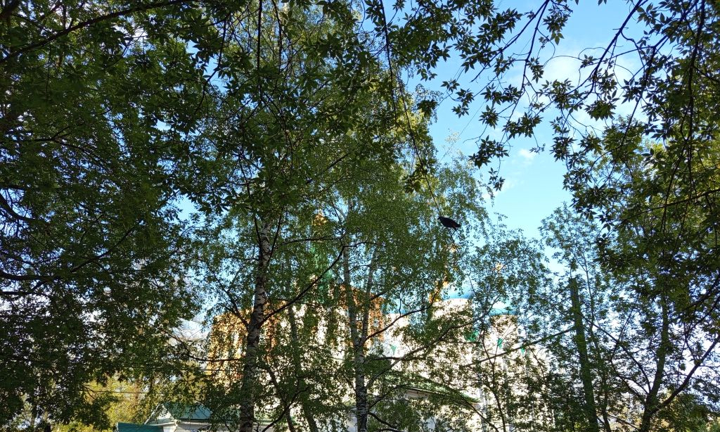 квартира г Нижний Новгород Горьковская ул Добролюбова 7 фото 4