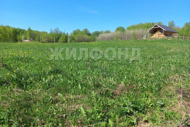 земля метро Площадь Гарина-Михайловского ул Приозерная село Раздольное фото