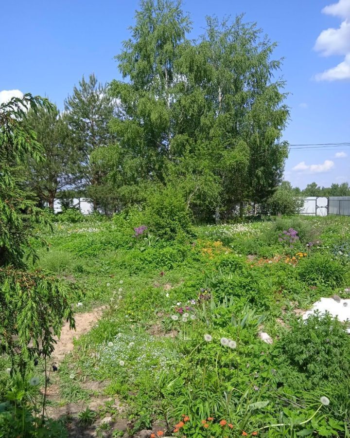земля городской округ Богородский г Ногинск 40 км, ул. Горького, 14, д. Починки, Щёлковское шоссе фото 3