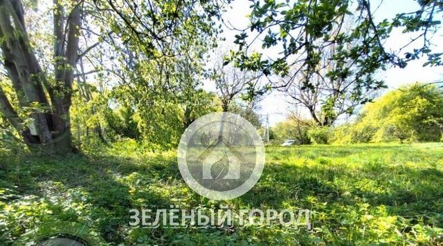 земля г Пионерский п Рыбное фото