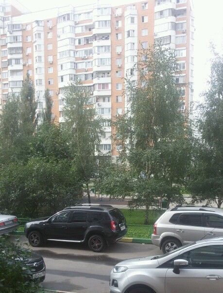 комната г Москва метро Братиславская ул Белореченская 24 фото 3