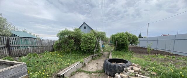 снт Береговой 356 фото
