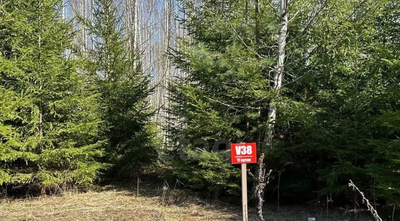 земля г Ступино ул Хвойная Шелково Форест кп фото 2
