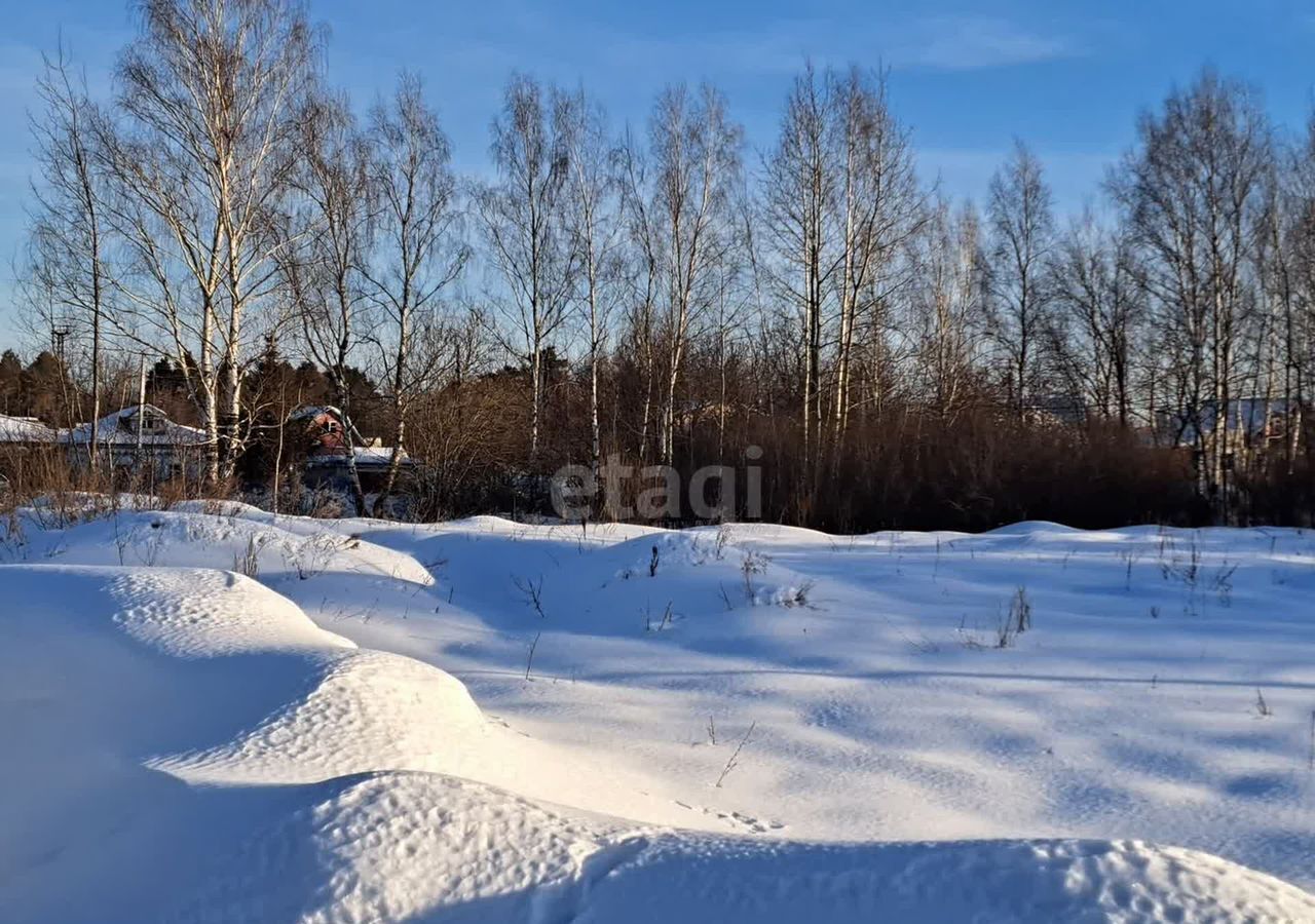 земля г Дзержинск п Горбатовка фото 4