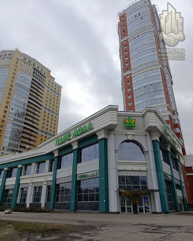 метро Проспект Просвещения пр-кт Просвещения 43 фото