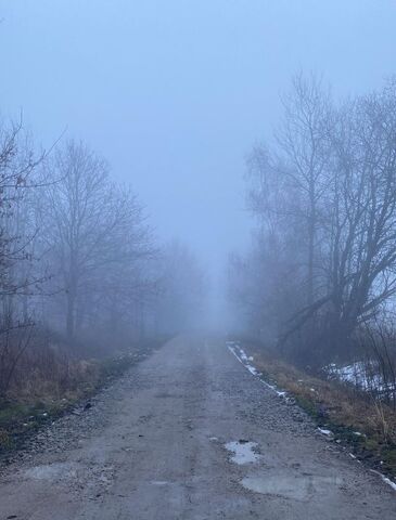 Арт Баден Парк кп фото
