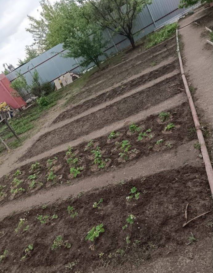 земля г Волгоград р-н Тракторозаводский Степной массив 1-й квартал снт Дзержинец фото 5