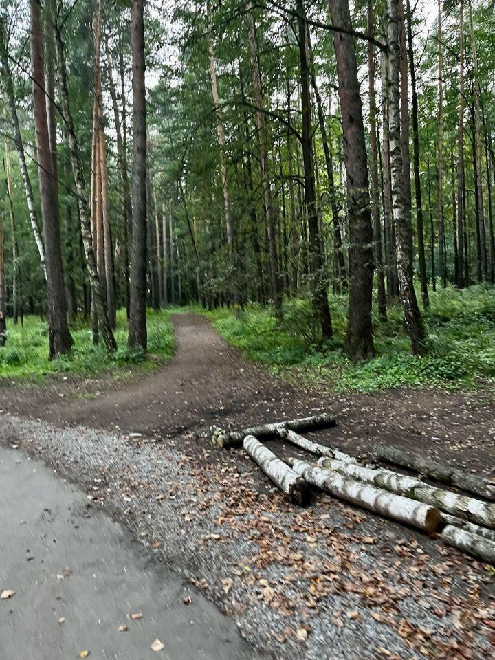 квартира г Ивантеевка ул Санаторная Пушкинский городской округ фото 11