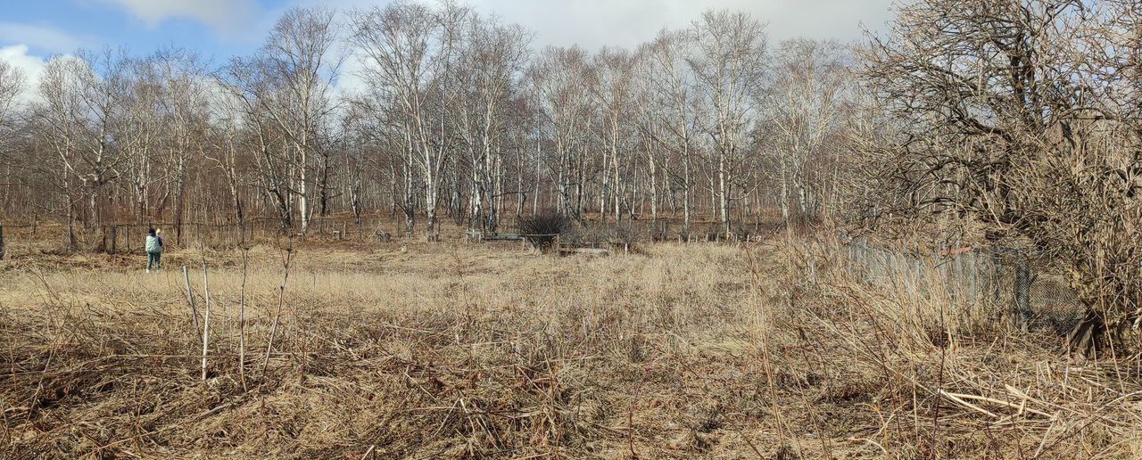 земля р-н Елизовский г Елизово ул Рябиновая Елизовское городское поселение фото 3