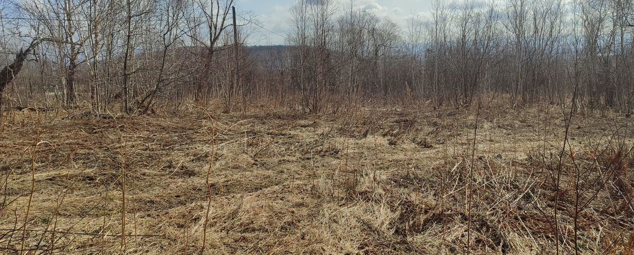 земля р-н Елизовский г Елизово ул Рябиновая Елизовское городское поселение фото 4