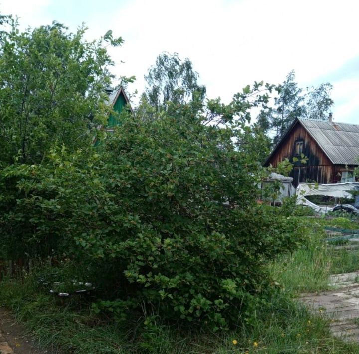 земля г Якутск с Маган фото 3